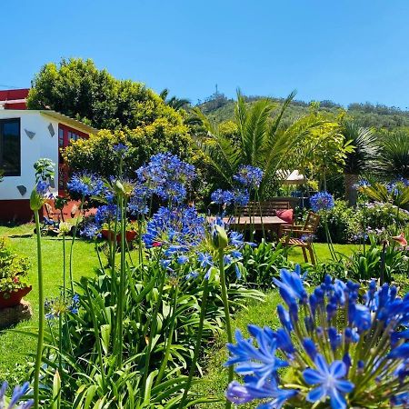 Casa Del Mir Daire Tegueste Dış mekan fotoğraf