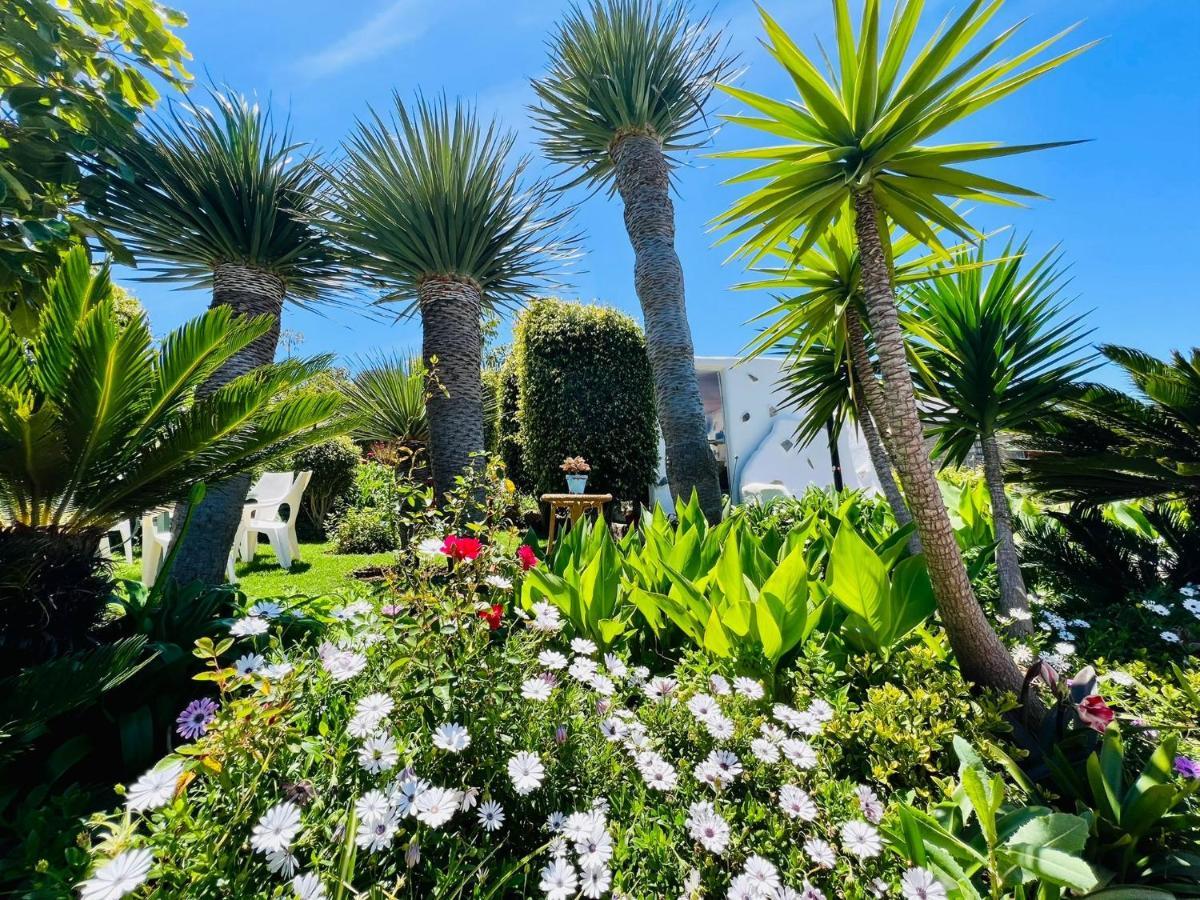 Casa Del Mir Daire Tegueste Dış mekan fotoğraf