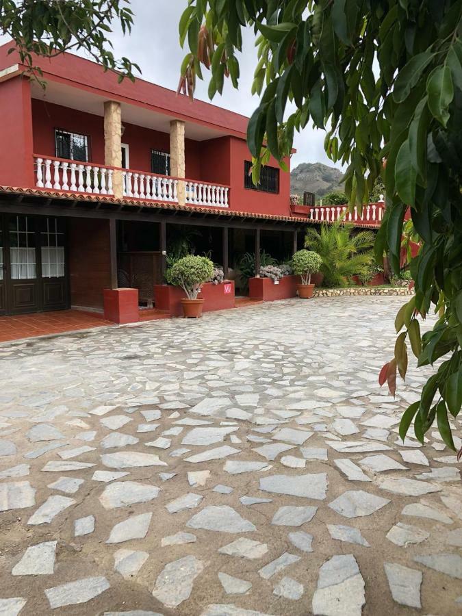 Casa Del Mir Daire Tegueste Dış mekan fotoğraf